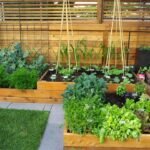 Best Gardening For Beginners