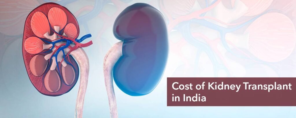 kidney transplant costs in India - Yapita Health