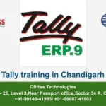 Tally Training in Chandigarh