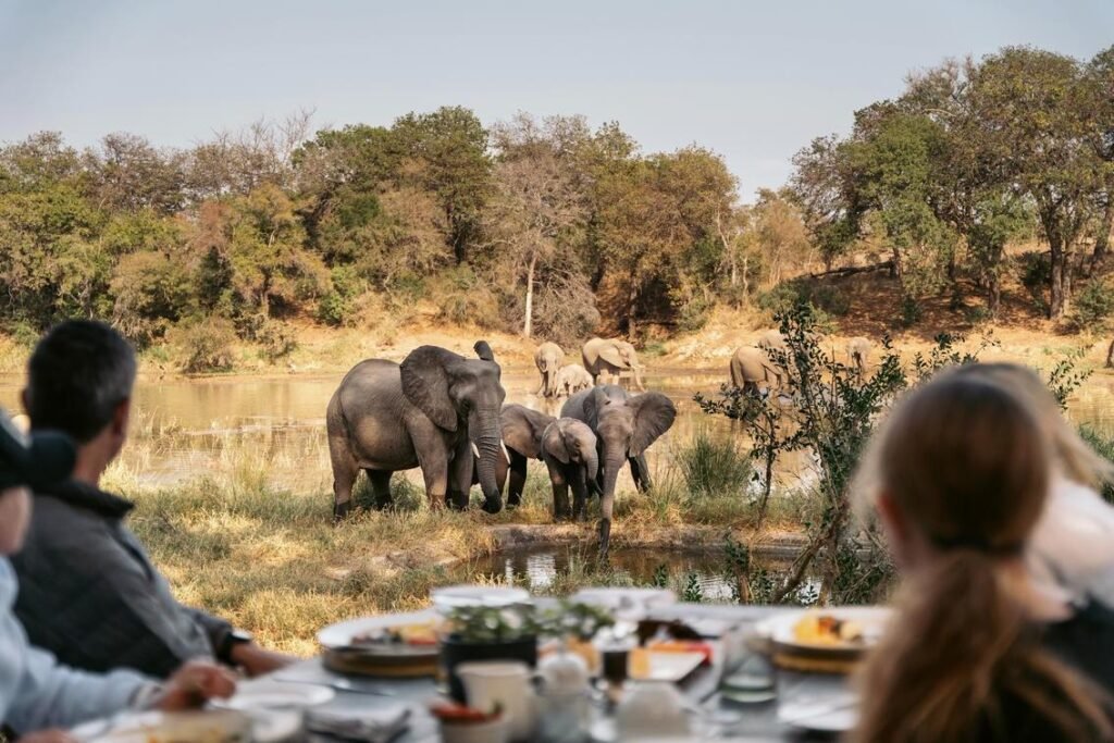 best African safari tours