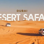 Premium Desert Safari in Dubai