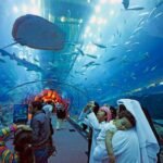 10 Fascinating Facts About Dubai Mall Aquarium You Didn’t Know