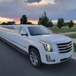 Top Reasons to Hire a Limo in Palm Beach