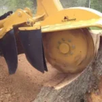 stump-grinding