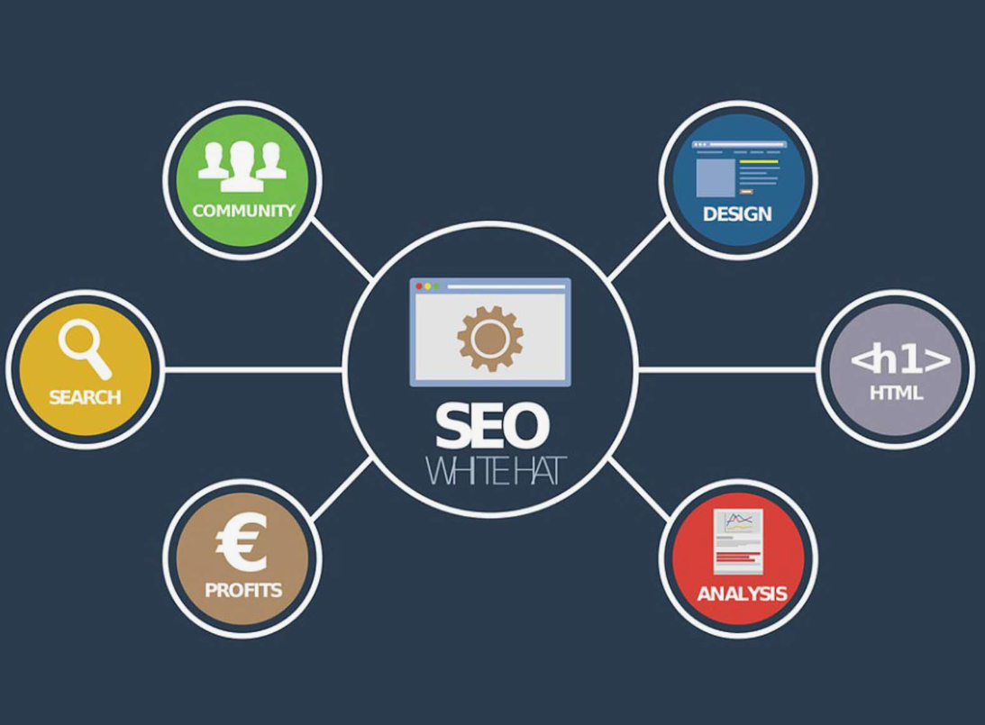 website seo services